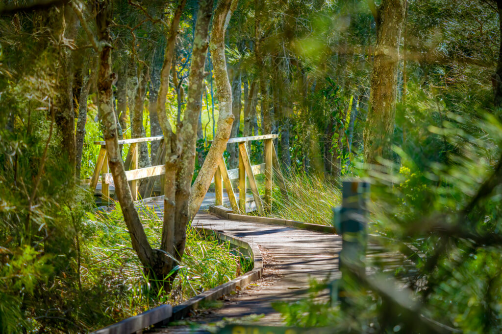 Nature Photography Photo Walk