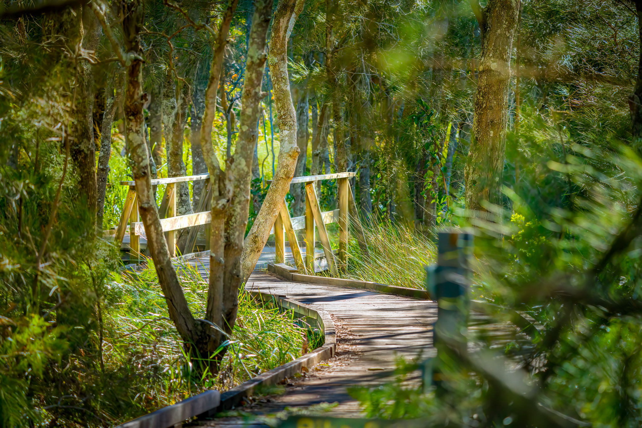 Nature Photography Photo Walk