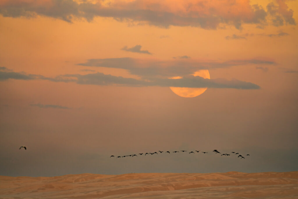 Sunset Photography Meetup