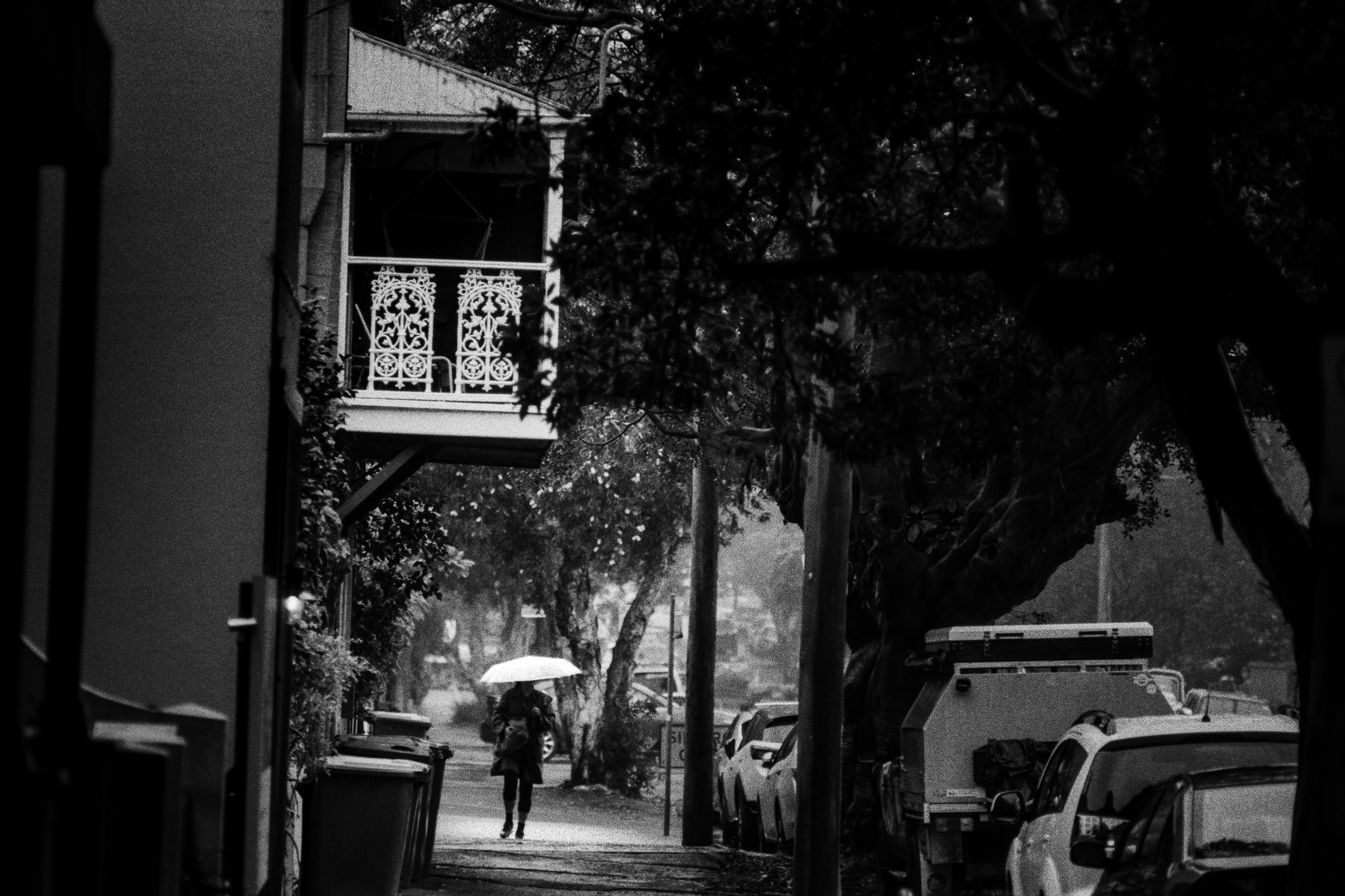 Black and White Photography