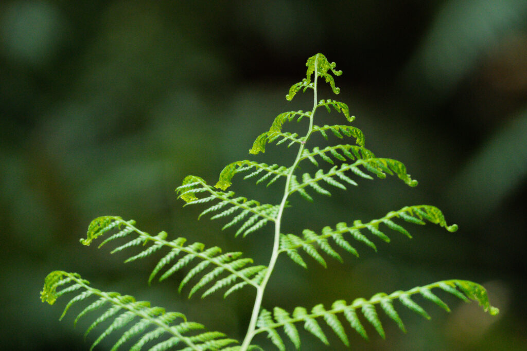 Nature Photography Photo Walk