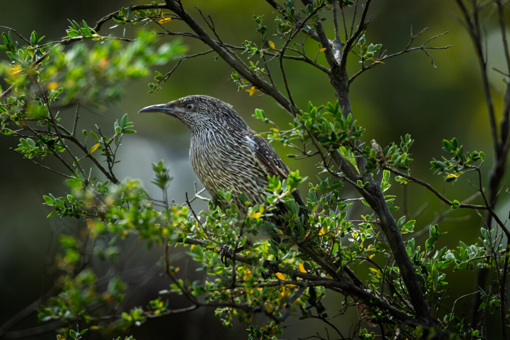 Nature Photography Photo Walk