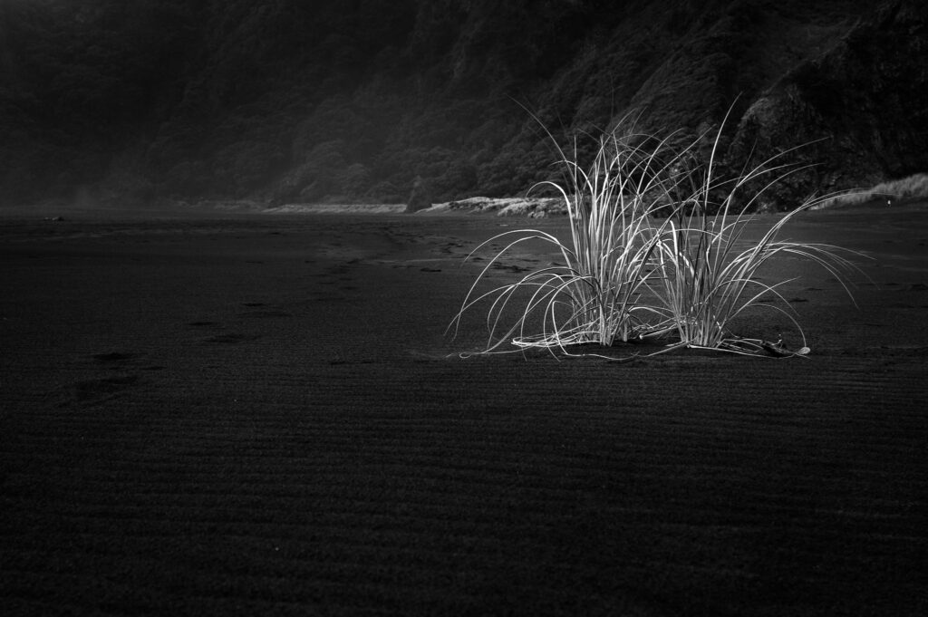 Black and White Photography