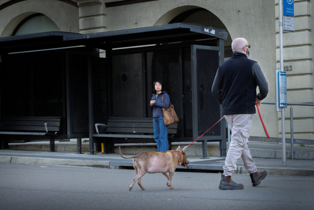 Street Photography Photo Walk