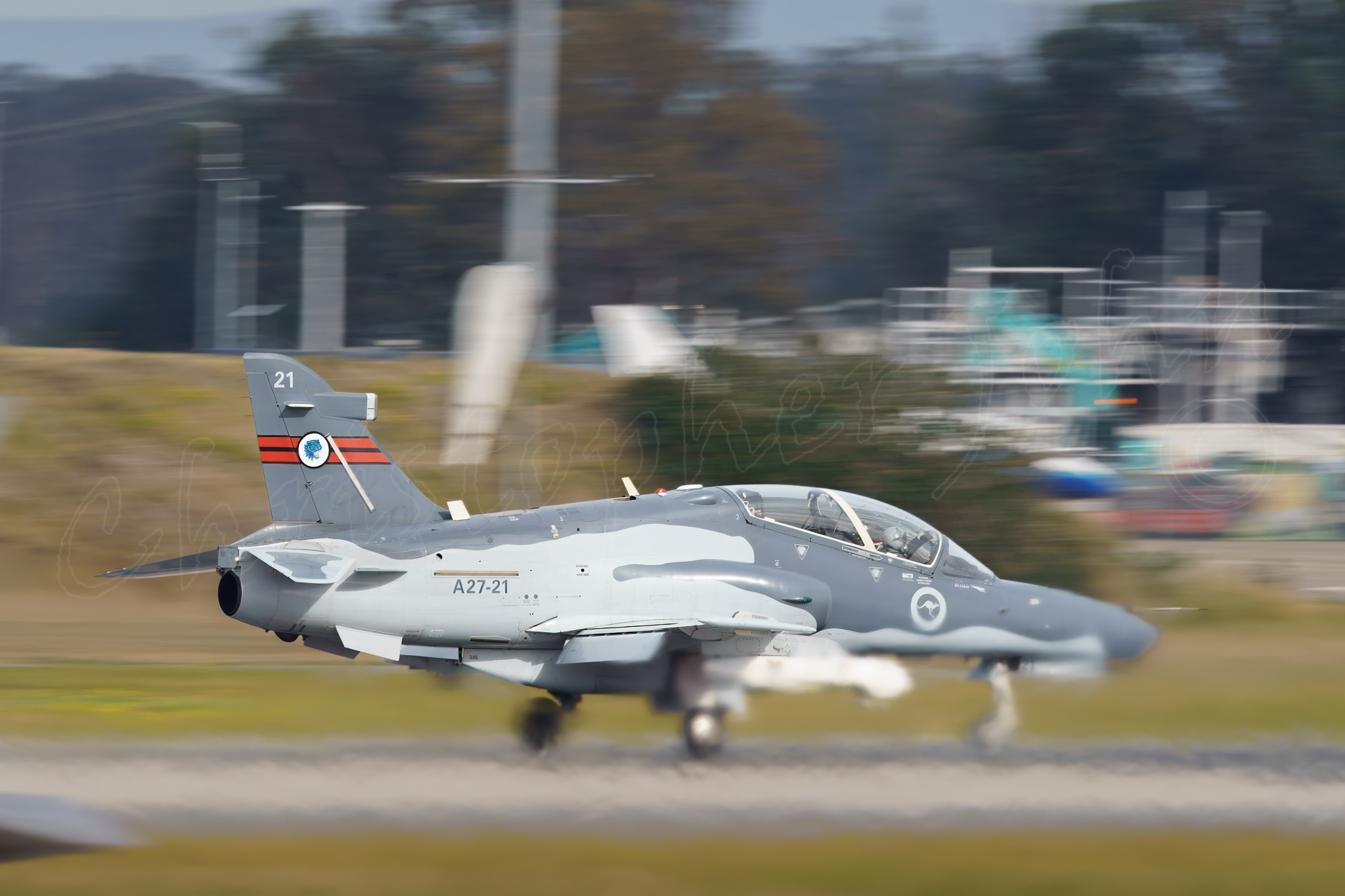 Action Photography Workshop