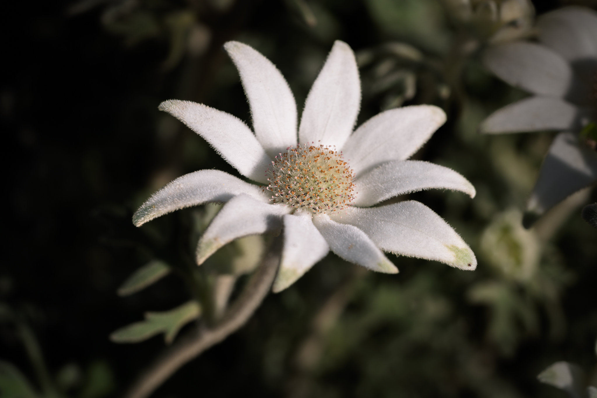 The Art of Seeing Nature — Nature Photography Composition