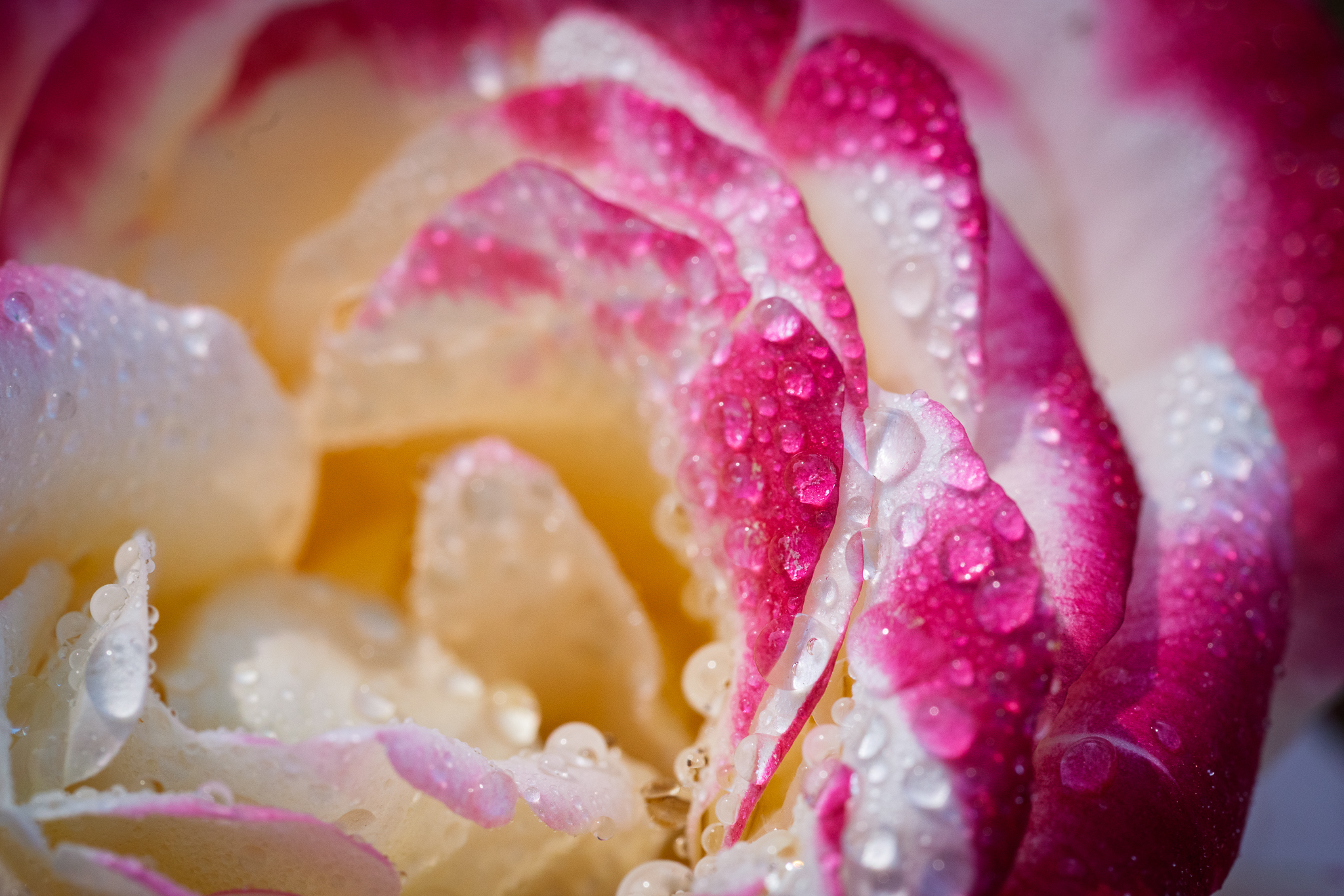 Water Droplets Photography