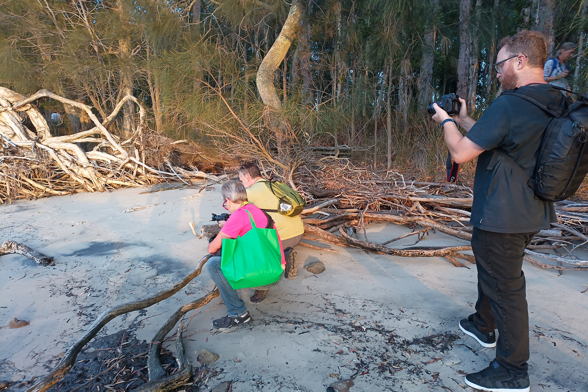 Start Photography — No Experience Needed at Tilligerry Habitat
