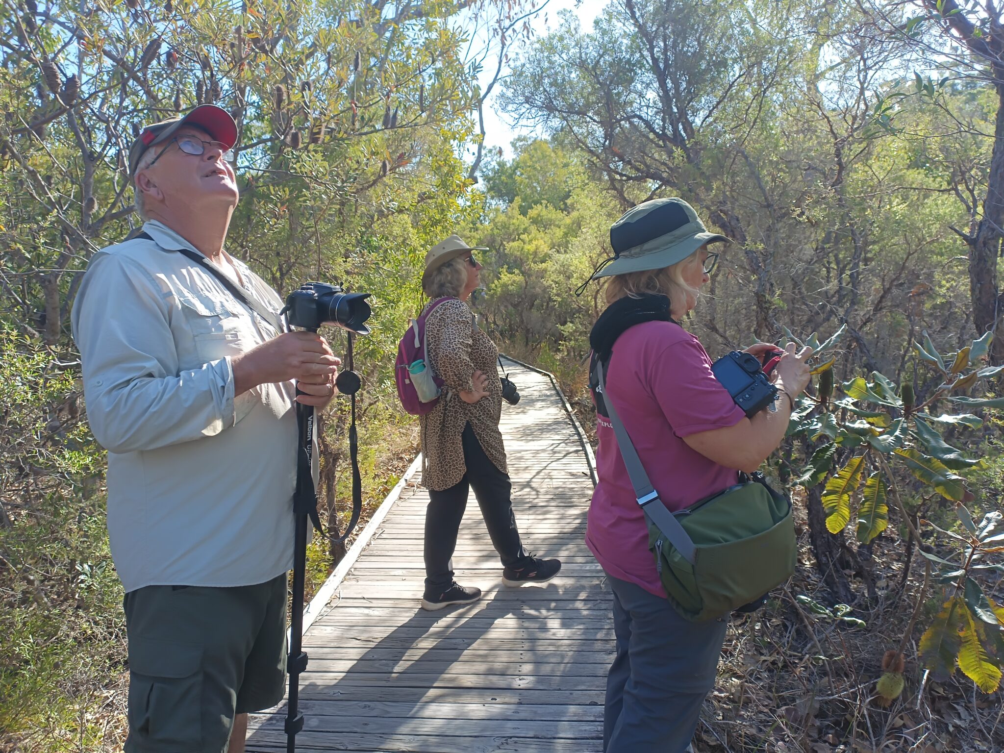 Photography workshop participants observing and photographing nature during a small group photography workshop in Port Stephens. Book Photography Workshops