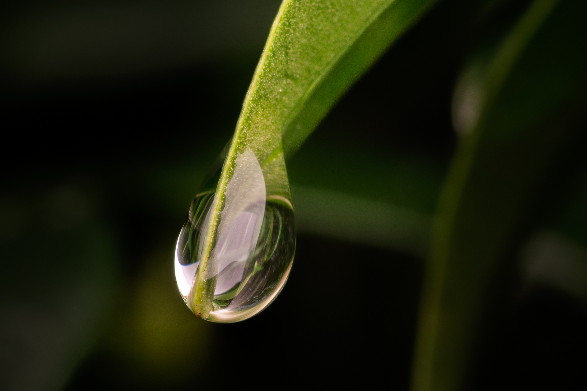 The Art of Interpreting Macro - Exploring the Small World
